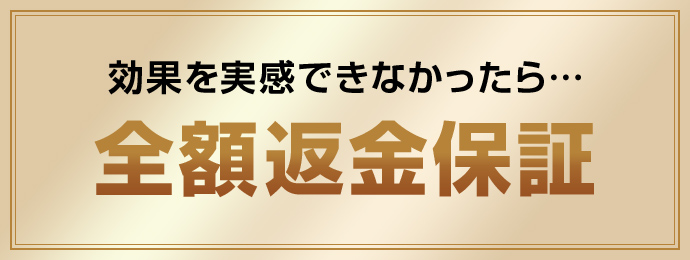 全額返金保証